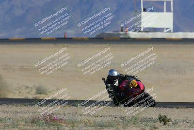 media/Feb-04-2023-SoCal Trackdays (Sat) [[8a776bf2c3]]/Turn 4 (Tree of Life 2pm)/